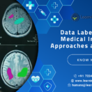 Data_Labeling_for_Medical_Imaging-01