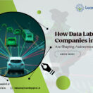 Data Labeling Companies in India