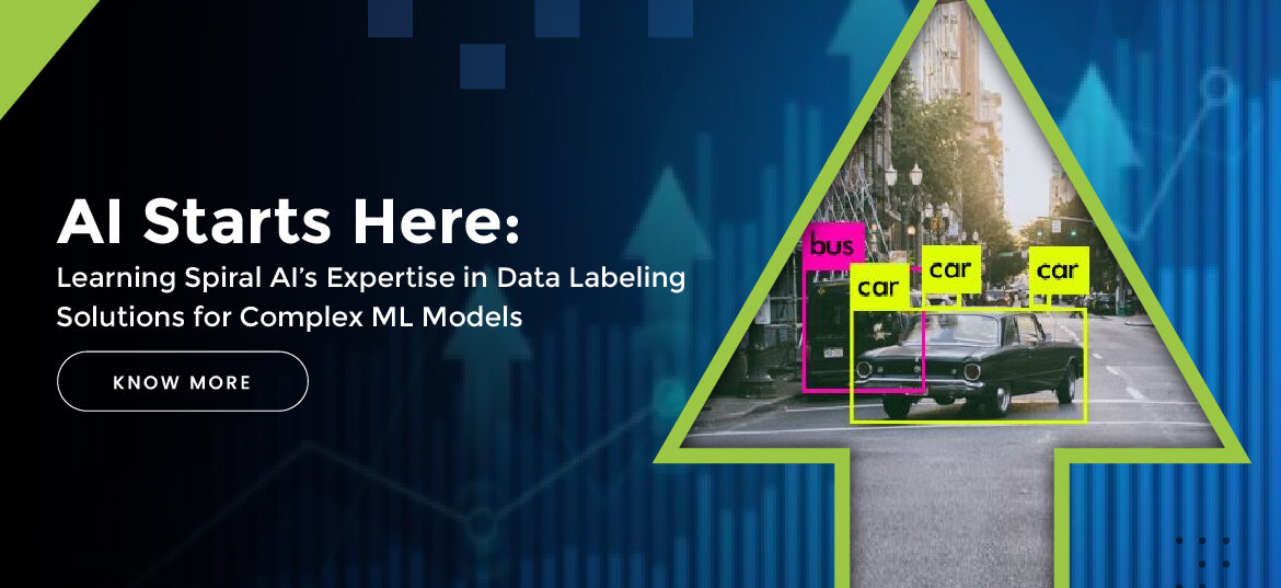 Data Labeling Company