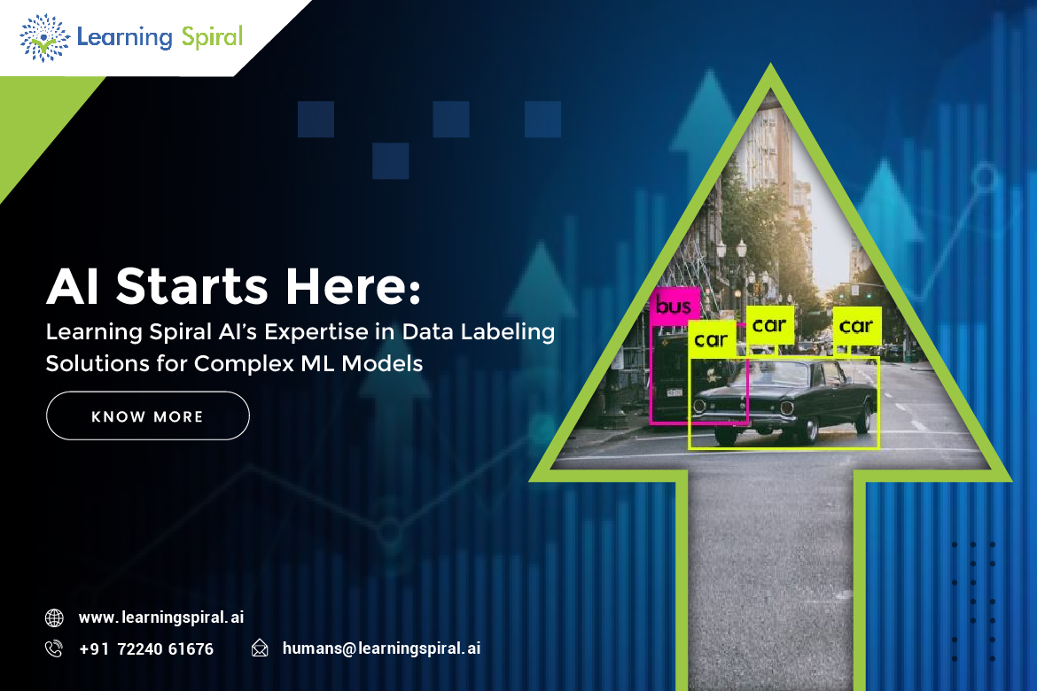Data Labeling Company