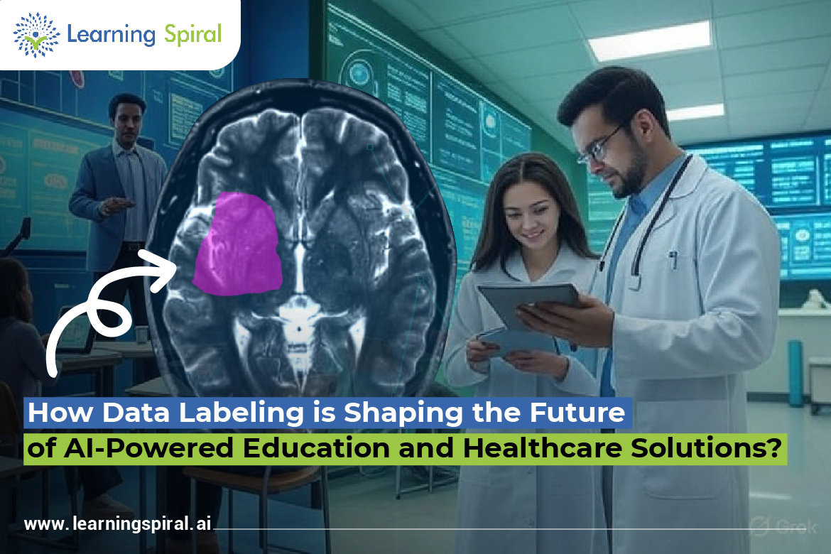 Data Labeling Companies in India