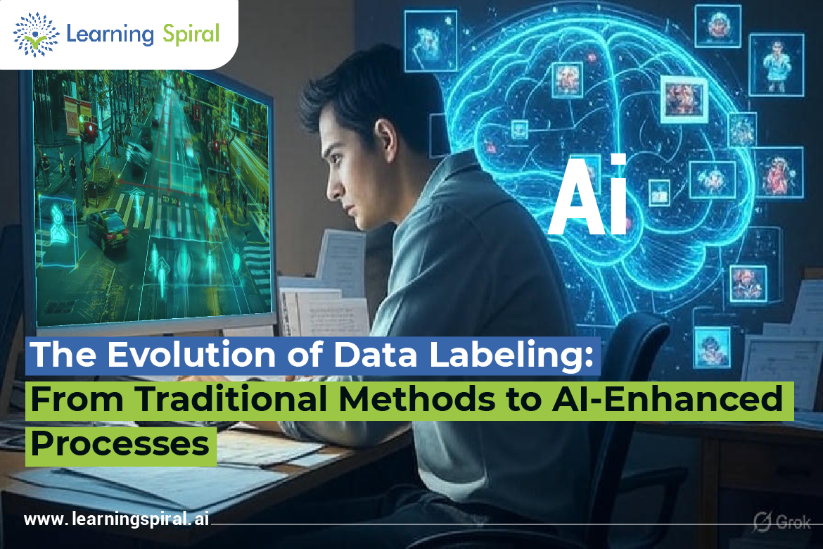 Data Labeling