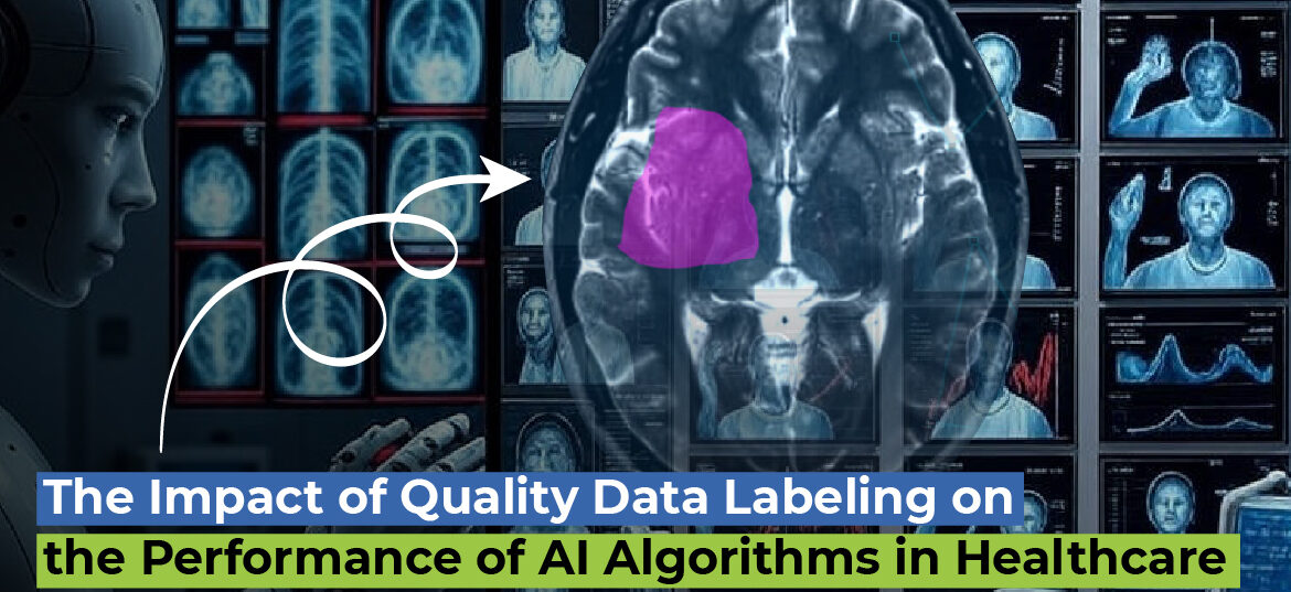 Data labeling & annotation services