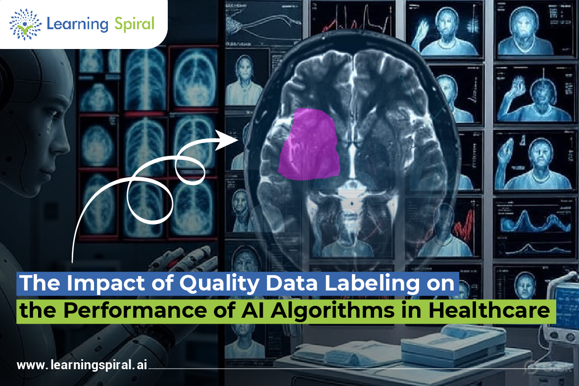 Data labeling & annotation services