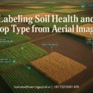 High-resolution aerial farmland imagery showing soil health and crop type classification with AI-powered annotation and NDVI analysis.
