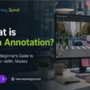 Medical data annotation workflow showing HIPAA-compliant labeling of clinical imaging data