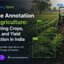Agricultural image annotation for crop and pest detection using computer vision datasets developed by Learning Spiral AI in India.