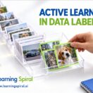 Active learning in data labeling prioritizing high-value samples for human review and AI model training.